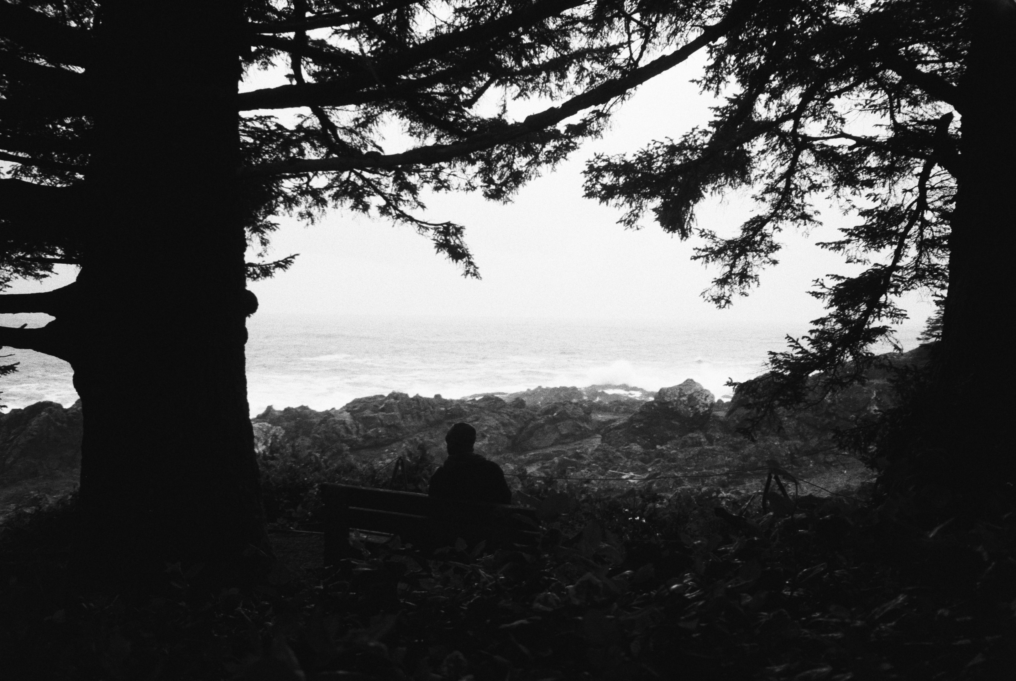 Photograph from 2026